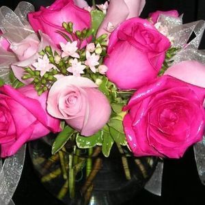 Meet your Posher, Roxanne